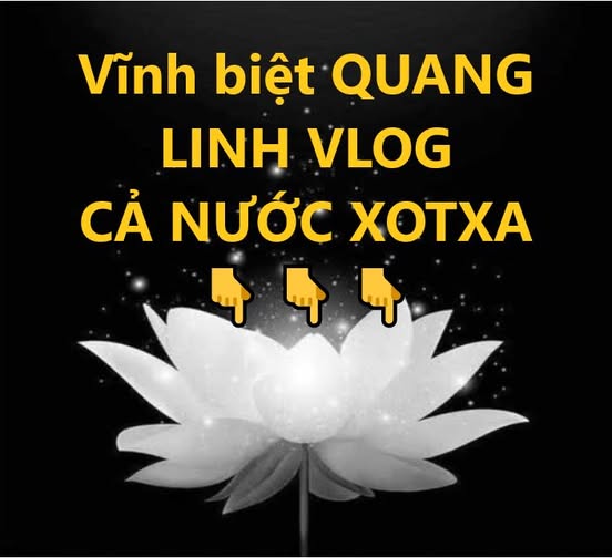 Quang Linh Vlog